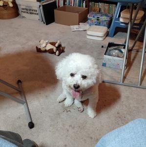 Meet your Posher, Sandy